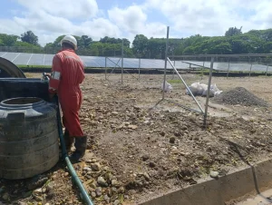 imagen de whatsapp 2025 07 29 a las 06.58.56 218d4c4c 1